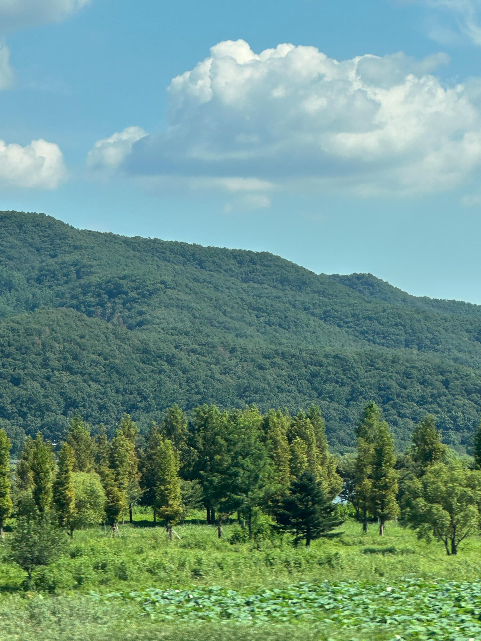 환경 (Environment)